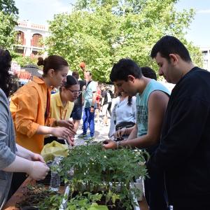 3ο Green Festival